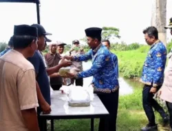 Tingkatkan Ketahanan Pangan, Pj Bupati Takalar Sebar 50 Ribu Bibit Ikan Bandeng