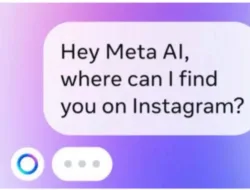 Fitur Canggih yang Digandrungi Artis, Begini Cara Interaksi dengan Fitur Canggih Whatsapp