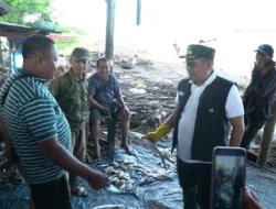 Potensi Peningkatan PAD, Bupati Takalar Akan Perbaiki Pelelangan Ikan Lamangkia 