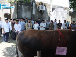 Momen Bersejarah, Takalar Terpilih Sebagai Penerima Bantuan Sapi Kurban Presiden Prabowo