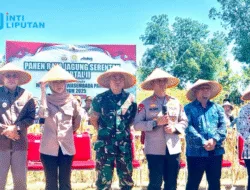 Wabup Takalar bersama Dua Jenderal Ikut Panen Raya Jagung Serentak, Dihadiri Presiden Prabowo Secara Virtual