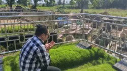 Beredar Foto Khairul Aco Berdoa di Makam Anak dan Mertuanya, Bikin Netizen Banjir Air Mata
